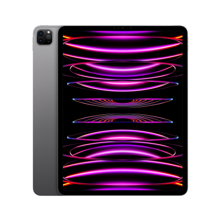 iPad Pro 12,9'' Wi-Fi 256GB grigio siderale - Usato - Grado A