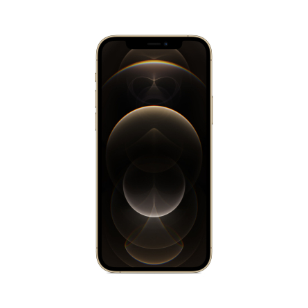iPhone 12 Pro 256GB oro - Usato - Grado B
