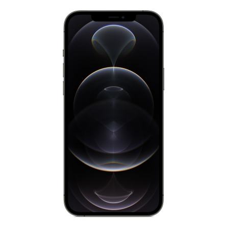 iPhone 12 Pro Max 256GB grafite - Usato - Grado B