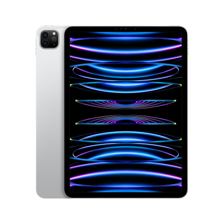 iPad Pro 11" Wi-Fi 128GB argento - Usato - Grado A