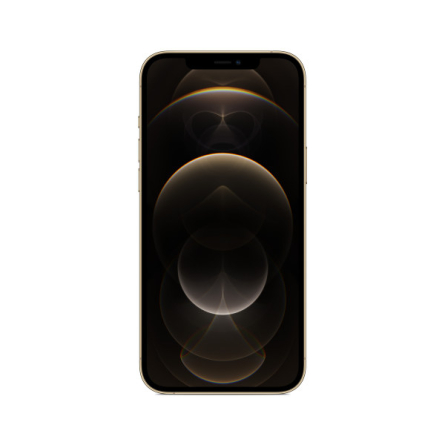 iPhone 12 Pro Max 256GB Oro - Usato - Grado A
