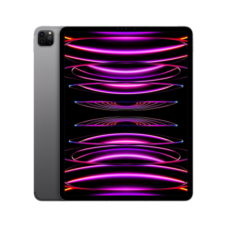 iPad Pro 12,9" 6a gen. Wi-Fi + Cellular 512GB grigio siderale (2022) ricondizionato - Eccellente
