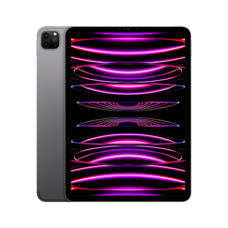 iPad Pro 11" 4a gen. Wi-Fi + Cellular 256GB grigio siderale (2022) ricondizionato - Eccellente
