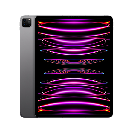 iPad Pro 12,9" 6a gen. Wi-Fi + Cellular 256GB grigio siderale - Usato - Grado B