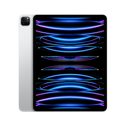 iPad Pro 12,9" 6a Gen. Wi-Fi + Cellular 128GB argento - Usato - Grado A