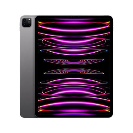 iPad Pro 12,9'' Wi-Fi 2TB grigio siderale