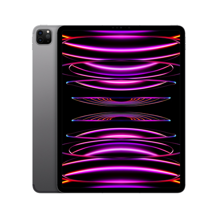 iPad Pro 12,9'' Wi-Fi + Cellular 128GB grigio siderale