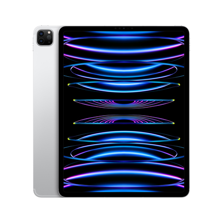 iPad Pro 12,9" Wi-Fi + Cellular 256GB argento