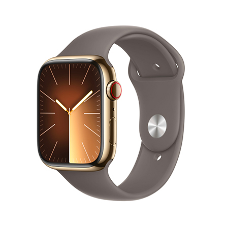 Apple Watch Series 9 GPS + Cellular 45mm acciaio oro con cinturino Sport grigio creta - S/M