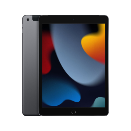 iPad 10,2" 9a gen. Wi-Fi + Cellular 256GB grigio siderale (2021) ricondizionato - Molto buono