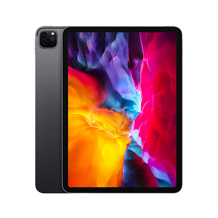 iPad Pro 11" 2a gen. Wi-Fi + Cellular 256GB grigio siderale (2020) ricondizionato - Molto buono