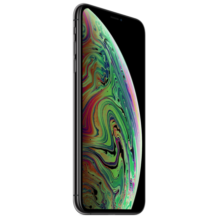 iPhone XS Max grigio siderale 256GB ricondizionato - Molto buono