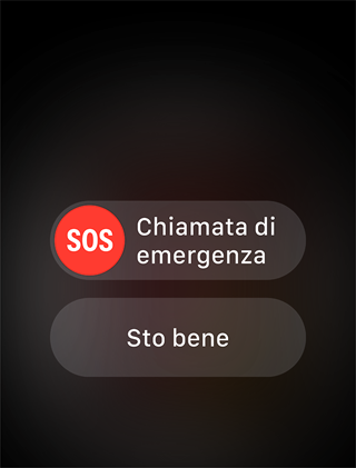 Icona 